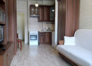 Сдаю в аренду квартиру студию, 25 м2, Санкт-Петербург, Пулковская улица, 8к3, метро Звёздная