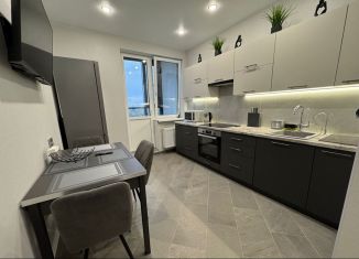 Сдача в аренду однокомнатной квартиры, 40 м2, Кингисепп, Крикковское шоссе