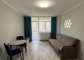 Аренда квартиры студии, 26 м2, Пермский край, Муромская улица, 24А