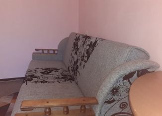 Сдается в аренду 1-комнатная квартира, 22 м2, Ярославль, Рыбинская улица, 49А