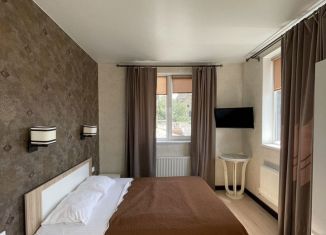 Квартира в аренду студия, 25 м2, Крым, улица Революции, 59