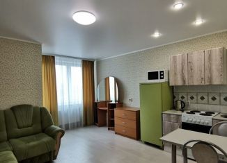 Сдаю в аренду квартиру студию, 24.3 м2, Республика Башкортостан, Кустарёвская набережная, 11