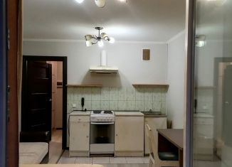 Аренда квартиры студии, 23 м2, Санкт-Петербург, улица Коммунаров, 190, Красносельский район