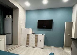 Сдам квартиру студию, 20 м2, Тюмень, улица Новосёлов, 115