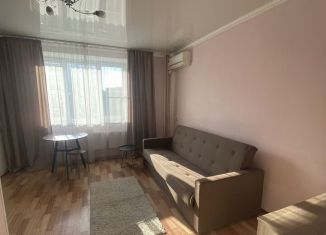 Сдается в аренду квартира студия, 25 м2, Челябинск, улица Профессора Благих, Курчатовский район