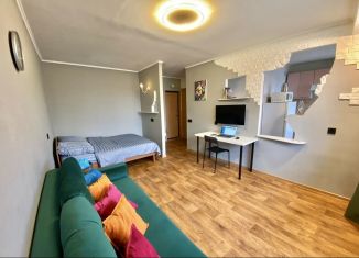 Аренда 1-комнатной квартиры, 35.5 м2, Свердловская область, улица Белинского, 154