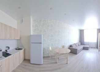 Квартира в аренду студия, 29 м2, Тюмень, улица Газовиков, 73к2, ЖК Европейский Берег