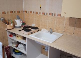 Сдам в аренду 1-ком. квартиру, 24.3 м2, Йошкар-Ола, улица Прохорова, 16