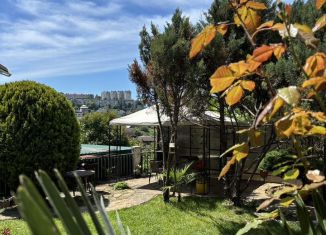 Сдача в аренду квартиры студии, 21 м2, Сочи, Клубничная улица, 1/6, микрорайон Новый Сочи