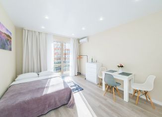 Квартира в аренду студия, 26 м2, Сочи, улица Искры, 88к2, микрорайон Кудепста