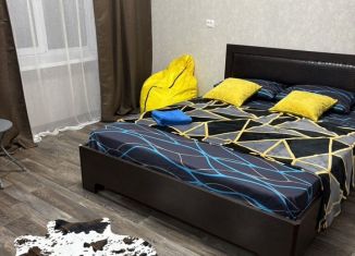 Сдача в аренду квартиры студии, 21 м2, Омск, улица Карбышева, 42