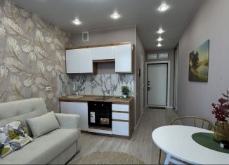 Сдам квартиру студию, 19 м2, Тюмень, улица Новосёлов, 105