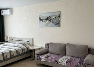 Сдается в аренду 1-ком. квартира, 40 м2, Йошкар-Ола, бульвар Чавайна, 11