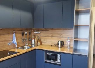 Сдаю однокомнатную квартиру, 38 м2, Сыктывкар, улица Папанина, 40