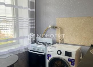 2-комнатная квартира в аренду, 48 м2, Старый Оскол, микрорайон Приборостроитель, 24А