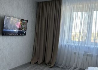 Сдам в аренду 1-ком. квартиру, 33 м2, Йошкар-Ола, улица Кирова, 25, микрорайон Мирный