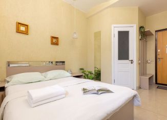 Сдам квартиру студию, 15 м2, Санкт-Петербург, 8-я Советская улица, 56, муниципальный округ Смольнинское