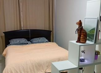 Сдаю 1-комнатную квартиру, 42 м2, Республика Башкортостан, улица Ленина, 162/1