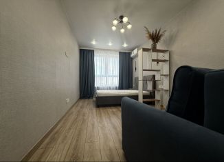 Сдам в аренду 1-ком. квартиру, 42 м2, Ростов-на-Дону, Берберовская улица, 15с1, Первомайский район