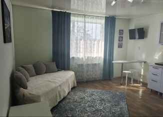 Квартира в аренду студия, 28 м2, Тюмень, Самарская улица, 20
