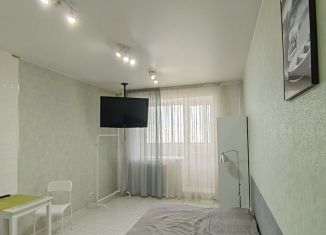 Квартира в аренду студия, 35 м2, Абакан, улица Некрасова, 37