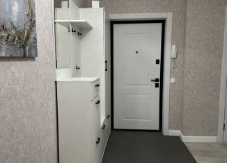 Сдам в аренду 2-ком. квартиру, 69.4 м2, Казань, Ягодинская улица