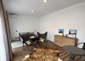 Сдача в аренду квартиры студии, 36 м2, Крым, Лесная улица, 3Б