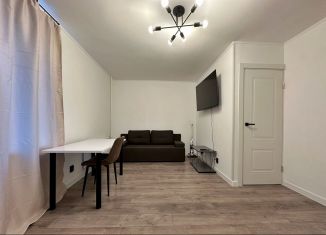 Сдам в аренду 1-ком. квартиру, 28.1 м2, Санкт-Петербург, проспект Ветеранов, 26, метро Проспект Ветеранов