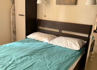 Аренда 1-ком. квартиры, 42 м2, Пермь, улица Революции, 18