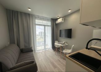 Сдается в аренду квартира студия, 19 м2, Сочи, Ясногорская улица, 16/2к11