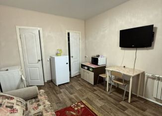 Сдаю квартиру студию, 20 м2, Еврейская АО, Широкая улица, 16