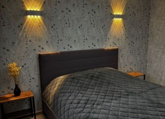 Сдается в аренду 2-комнатная квартира, 55.4 м2, Гусь-Хрустальный, Полевая улица, 3