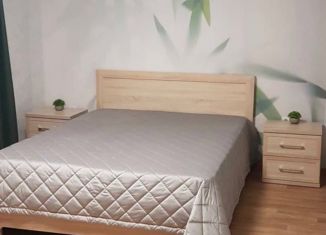 Сдается в аренду однокомнатная квартира, 38 м2, Томская область, улица Белинского, 84