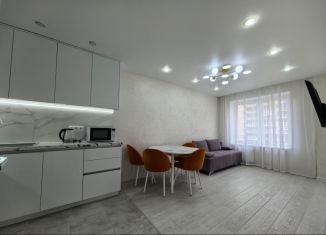 Сдам в аренду 1-ком. квартиру, 36.3 м2, Псков, улица Ижорского Батальона, 17