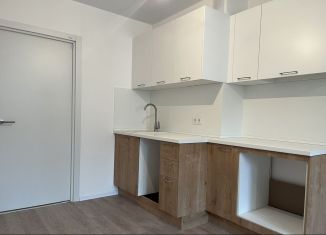 Аренда квартиры студии, 22.9 м2, Колпино, Загородная улица, 45