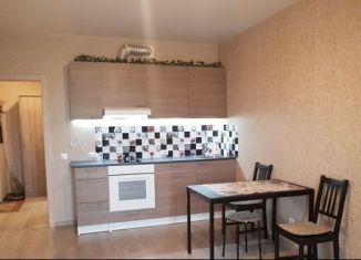 Сдам в аренду квартиру студию, 30 м2, Новосибирск, Оловозаводская улица, 15, ЖК Черёмушки