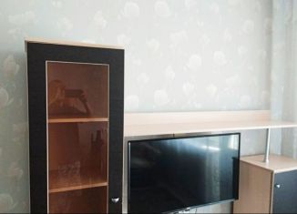 2-ком. квартира в аренду, 53 м2, Новосибирск, Выборная улица, 124, Октябрьский район