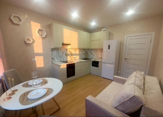 Аренда однокомнатной квартиры, 39 м2, Пензенская область, улица Измайлова, 38к3