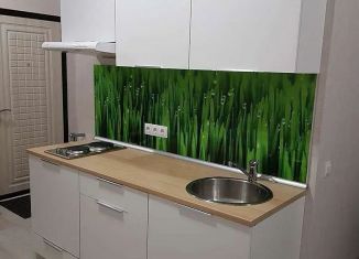 Сдаю в аренду квартиру студию, 30 м2, Ростов-на-Дону, улица Ткачёва, 16, ЖК Итальянский Квартал