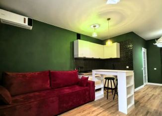 Сдаю в аренду квартиру студию, 25 м2, Ростов-на-Дону, улица Вересаева, 103Вс1