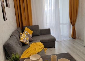 Сдается квартира студия, 28 м2, Краснодар, микрорайон Любимово, 2