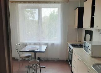 Сдаю однокомнатную квартиру, 40 м2, Ростов-на-Дону, переулок Семашко, 69, Ленинский район