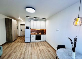 Сдача в аренду квартиры студии, 25 м2, Республика Башкортостан, Кустарёвская набережная, 21