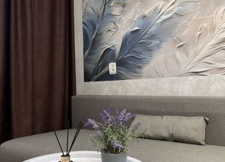 1-ком. квартира в аренду, 33 м2, Республика Башкортостан, улица Ленина, 34