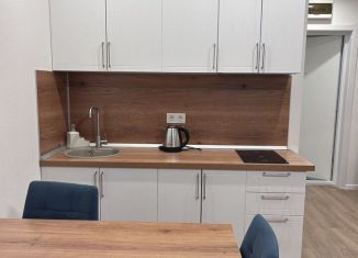 Сдается в аренду квартира студия, 22 м2, Москва, Люблинская улица, 72Ак2, ЖК Люблинский Парк