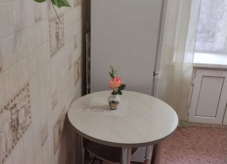 Сдается в аренду 1-ком. квартира, 30 м2, Пермь, улица Карбышева, 46