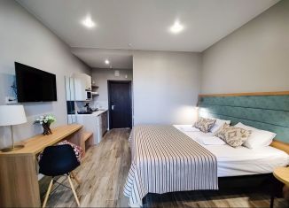 Аренда квартиры студии, 38 м2, село Витязево, Нагорная улица, 1