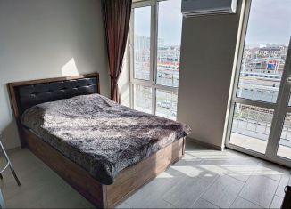 Аренда однокомнатной квартиры, 28 м2, Сириус, Каспийская улица, 31