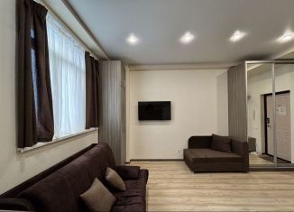 Сдам в аренду квартиру студию, 24 м2, Сочи, Крымская улица, 89, ЖК Посейдон