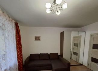 Квартира в аренду студия, 24 м2, Мурино, улица Шувалова, 25к1, ЖК Гринландия-2